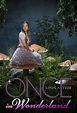 Once Upon a Time in Wonderland (TV Series 2013-2014) - Posters — The ...