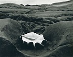 THE PHOTOGRAPHY FILES: Edward Weston