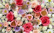 Colorful roses in the bouquet wallpaper - Flower wallpapers - #53956