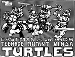 Read online Teenage Mutant Ninja Turtles (1984) comic - Issue #1