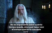 Las 47 Mejores Frases de Gandalf - Lifeder | Frases de gandalf, Gandalf ...