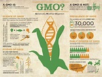 interesting infographic | Genetically modified food, Gmo facts, Gmo