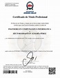 (PDF) Certificado de Título Profesional | Hector Pérez - Academia.edu