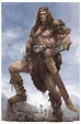 Barbarian king, Daniel Zrom on ArtStation at https://www.artstation.com ...