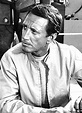 Roy Scheider Weight Height Ethnicity Hair Color Eye Color