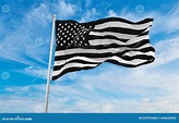 Bandiere Bianche E Nere Di Usa Che Salgono Al Vento Su Flagpoli Contro ...