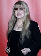 STEVIE NICKS at 59th Grammy Awards: MusiCares Person of the Year ...