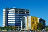 Southern Cross University » Study Gold Coast