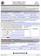 Uscis Form I9 Fillable - Printable Forms Free Online