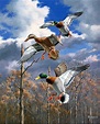 David Maass More #waterfowlhunting Art Canard, Canard Colvert, Hunting ...