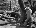 Sergeant York (1941) - Classic Movies Photo (4826369) - Fanpop