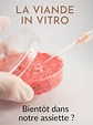 La viande in vitro, bientôt dans nos assiettes? (TV Movie 2013) - IMDb