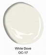 All About White Dove Paint Color | Architectural Digest