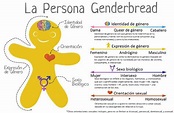 esquema identidad expresión de género orientación sexual | Género ...