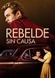 Rebelde sin causa - película: Ver online en español