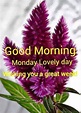 236 Good Morning Monday Images, Photos, Pics, Wallpapers & Wishes ...