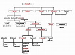 The genealogy of Jesus Christ that starts with Abram's father, Terah ...