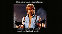 Le Migliori Frasi , Fatti e battute su Chuck Norris in Italiano - YouTube