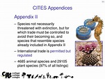 PPT - Introduction to CITES PowerPoint Presentation, free download - ID ...