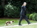 All the presidents dogs: Photos, bios, history of White House pets - Business Insider