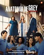Anatomía de Grey Temporada 19 - SensaCine.com