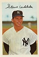 Steve Whitaker Damn Yankees, New York Yankees, Steve, Sports Jersey ...