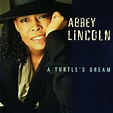 Abbey Lincoln : A Turtle's Dream CD (1995) - Polygram Records | OLDIES.com