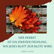 Herbst Sprüche, Zitate und Gedichte für einen netten Gruß | Herbst ...