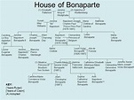 13 House of Bonaparte KEY: (Years Ruled) [Years of Claim] (A) Adopted ...