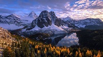 Montana Wilderness 4K Wallpapers - MAXIPX