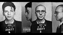 Logic young sinatra album cover 1000x1000 - buildmasop