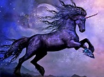 Fantasy Animals, Unicorn Wallpaper, Black, Moon, Night - Wallpaperforu