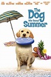 The Dog Who Saved Summer (2015) — The Movie Database (TMDB)
