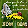 Lindas Mensagens: Bom Dia!