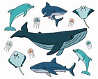 conjunto de dibujos animados de contorno vectorial océano y mar animales felices. ballena ...