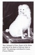 Boy, Prince Rupert's Dog - Historic UK