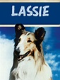 Lassie TV Listings, TV Schedule and Episode Guide | TV Guide