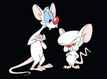 Pinky And The Brain Wallpaper