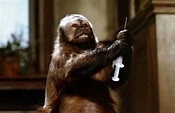 Monkey Shines (Monkey Shines: An Experiment in Fear, 1988) - Film