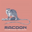 Racoon - Live at HMH, Amsterdam - Theatre show 2016 - Album by Racoon ...