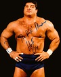 Don Muraco signed 8x10 Photo – Signed By Superstars