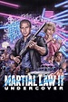 Martial Law II: Undercover (1991) - Posters — The Movie Database (TMDB)