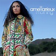 ‎Morning - Album by Amel Larrieux - Apple Music