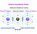 Diferencia entre Enlace Covalente Polar y No Polar 【Ejemplos】