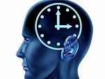 Cómo funciona el ritmo circadiano o reloj biológico
