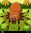 Top 103+ imagen dibujos de tarantulas - Expoproveedorindustrial.mx