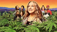 Disjointed | Netflix Official Site