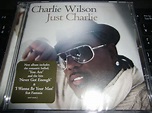 Charlie Wilson/Just Charlie （Album Review） : Flavor Of R&B / HIPHOP
