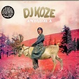 DJ Koze - Amygdala - Vinyl 2x12"+7"+All Media - 2013 - DE - Original | HHV