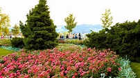 Jardín de rosas de Berna: Información de Jardín de rosas de Berna en ...